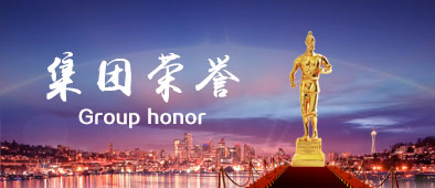 集團(tuán)榮譽
